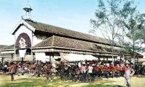 Địa danh nào ở miền Tây được cho là từng có nhiều chim công đậu?