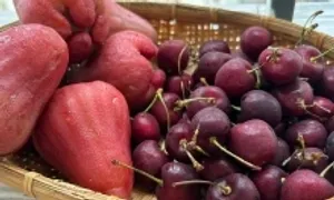 Mẹo ăn uống giúp người giảm cân không thèm đường