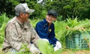 Quy tắc ăn giúp người Nhật trường thọ