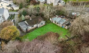 Cả thị trấn không bán được nhà vì loài cỏ lạ